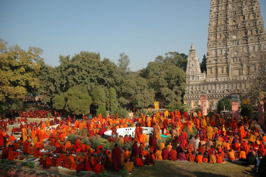 महाबोधी संग्राहामा