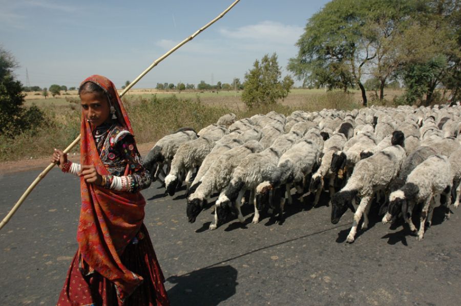 व्रजांगना