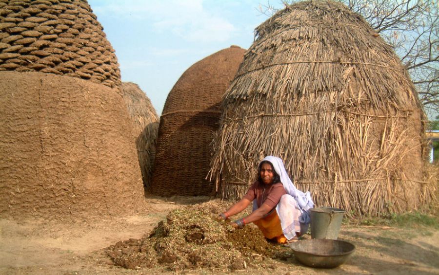 गोबरी