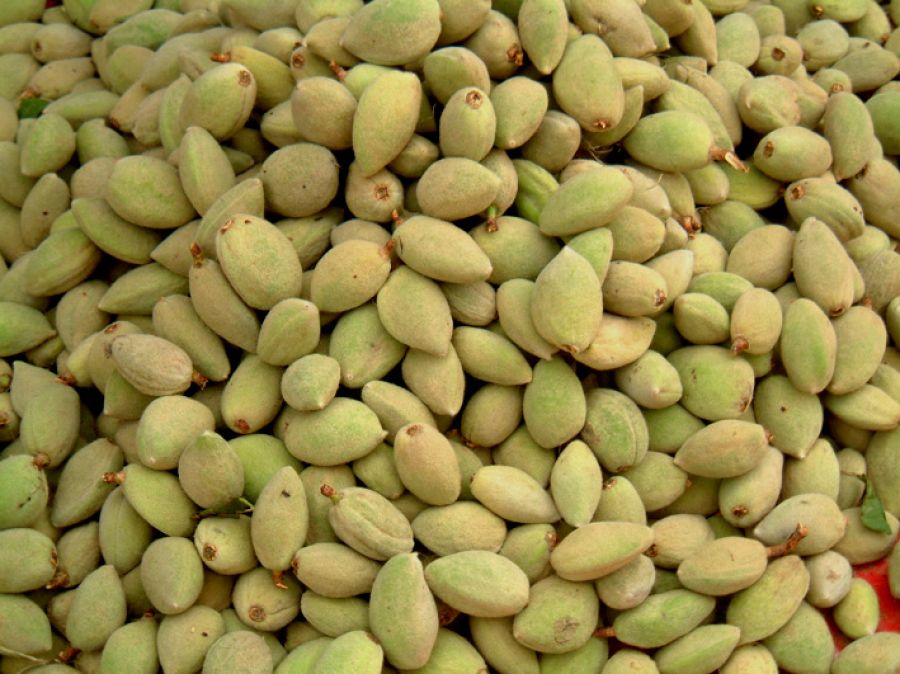 बदाम