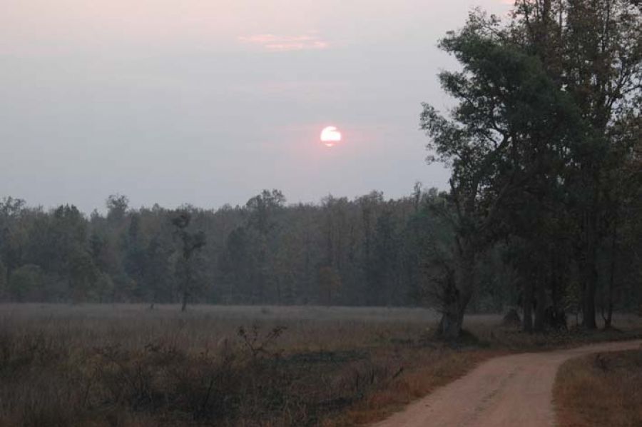 अंबार-डंबर