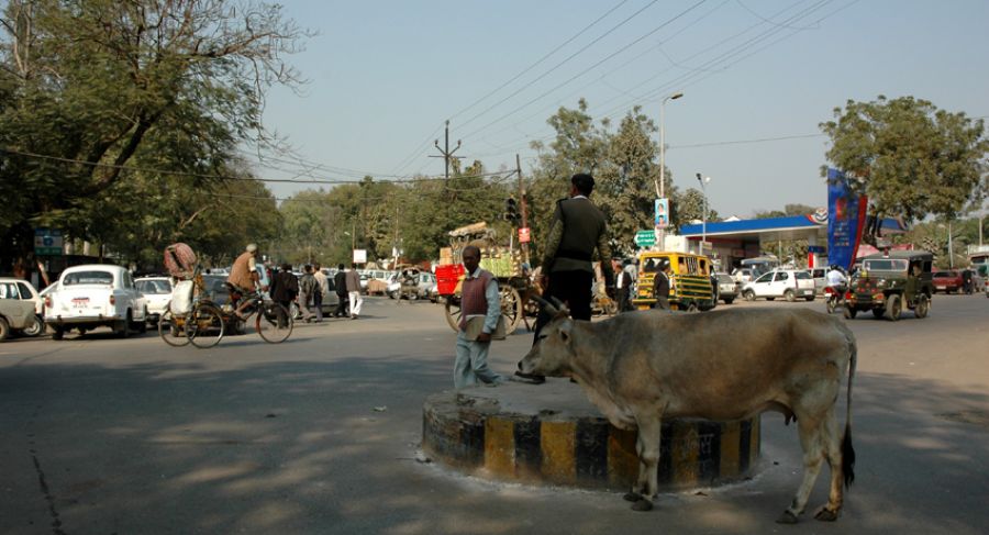 चौमुहानी