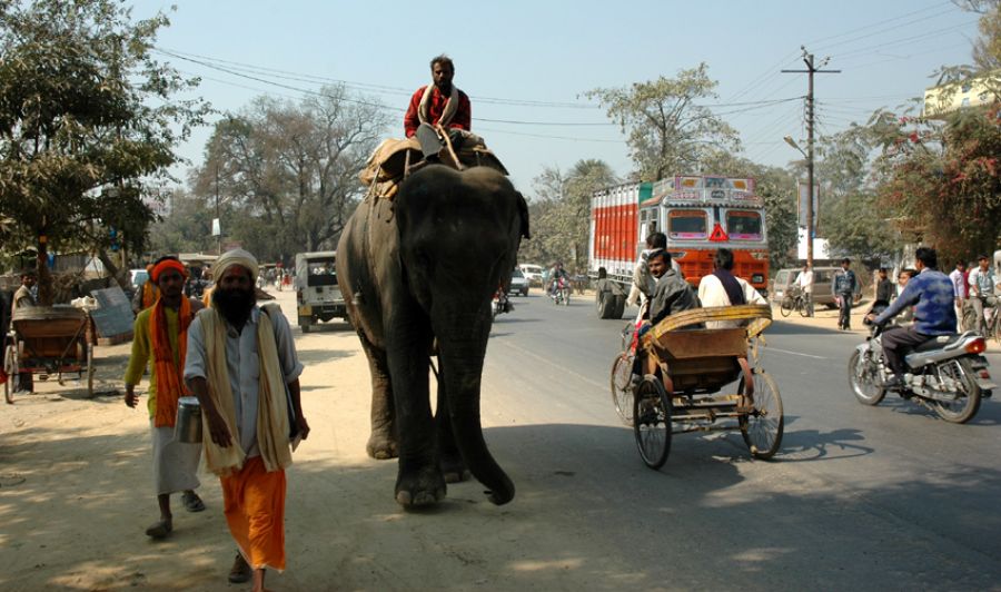 हाथीवान