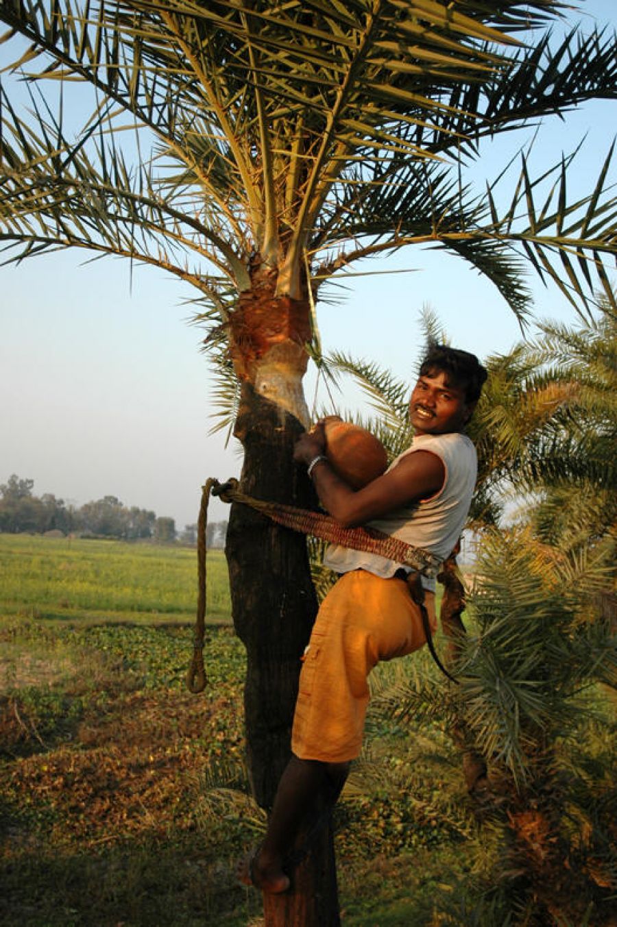 छुहारा