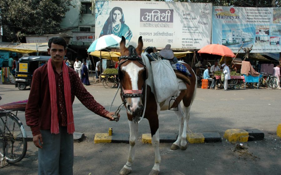 वड़वा