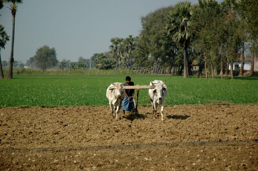 जोतना