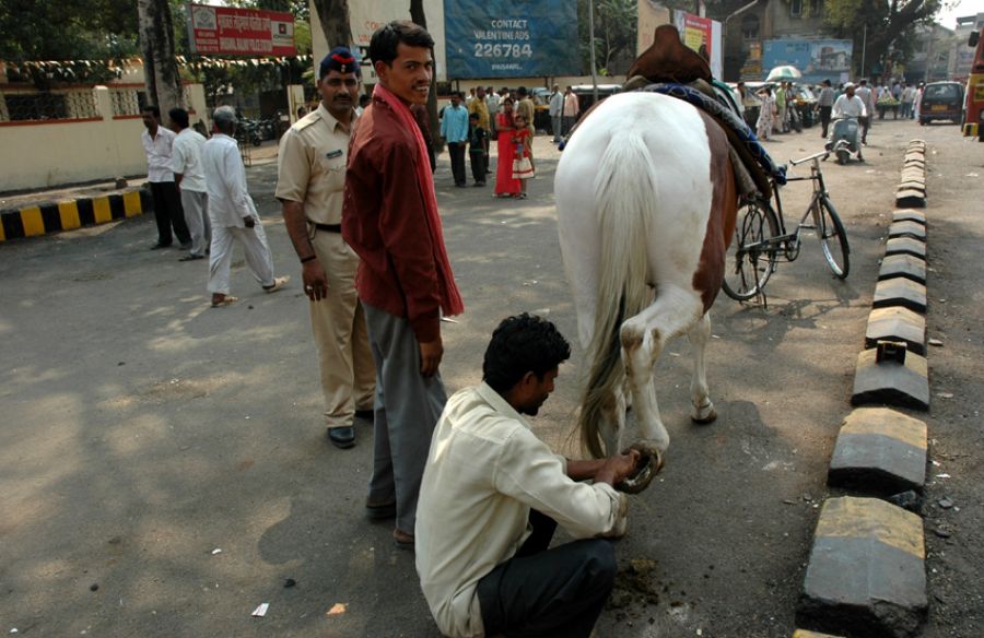 नालबंदी