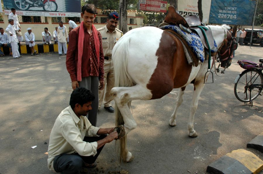 नालबंद