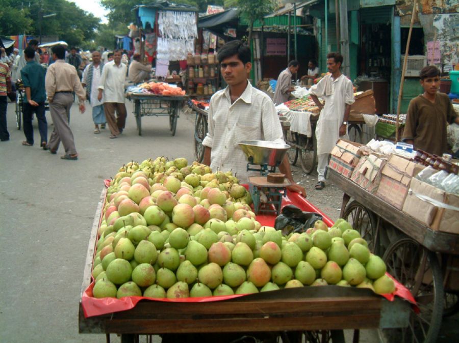 नाशपाती