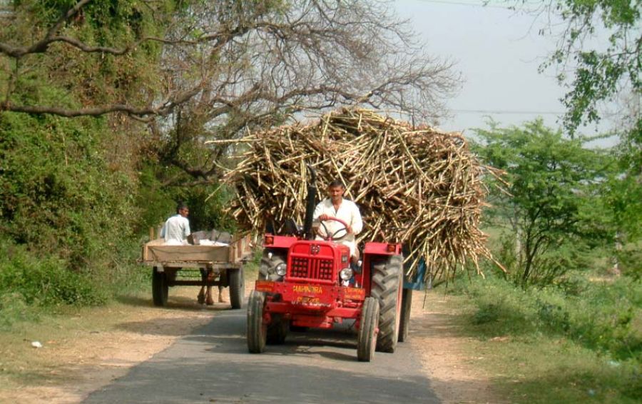 हरित