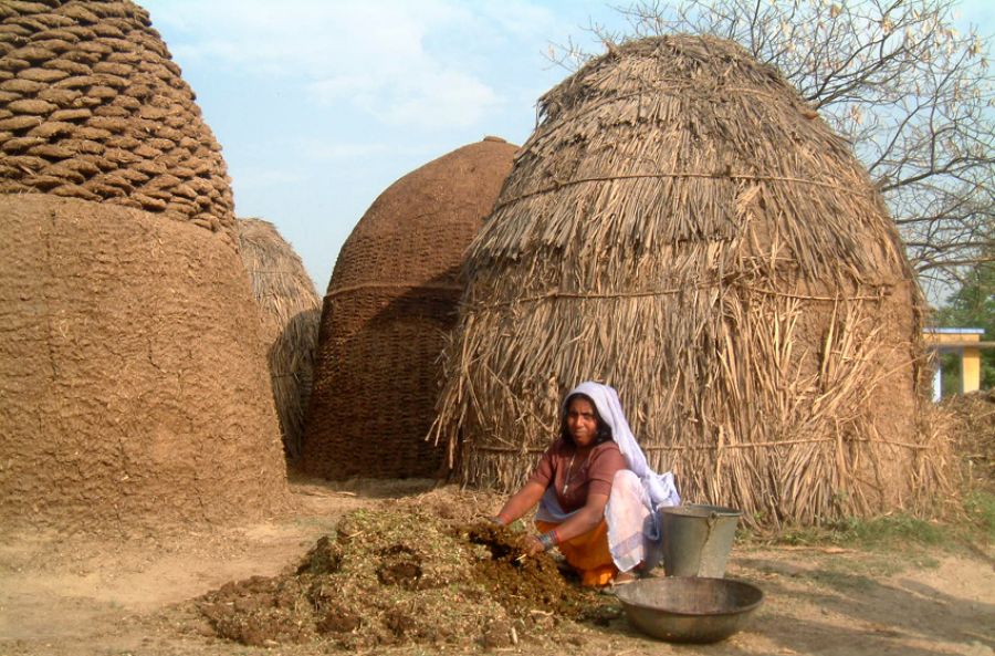 गँवारपन