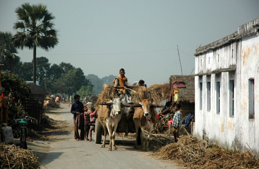 दिहात